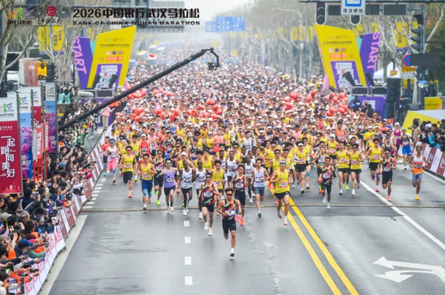 QQ20260326-153834(1).jpg QQ20260326-153834(1).jpg